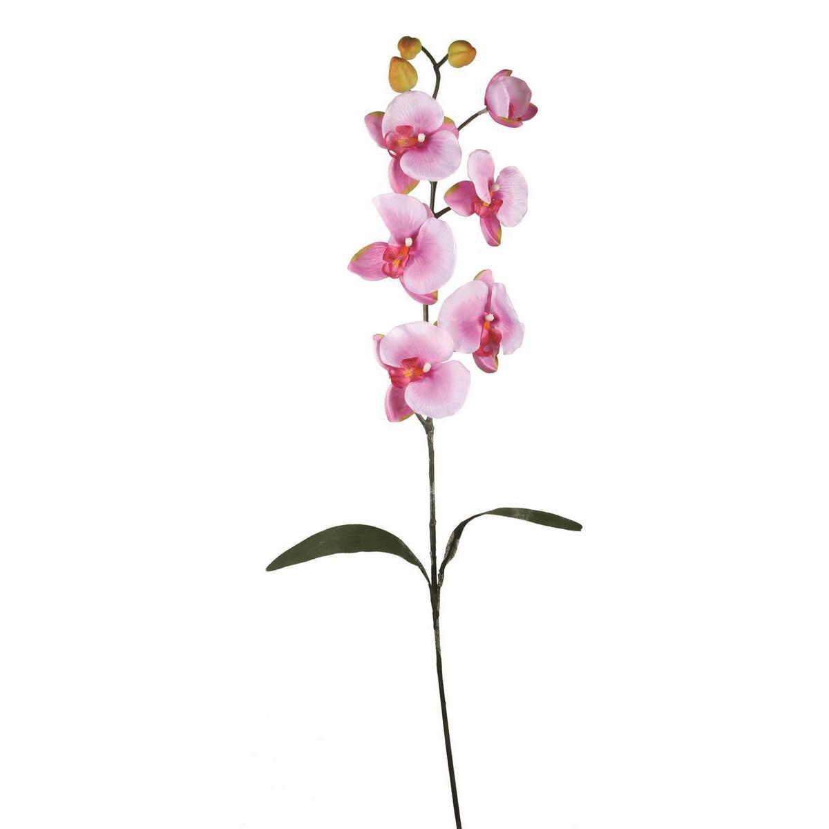 Tige d'orchidée - Plastique, Polyester - H 101 cm - Violet