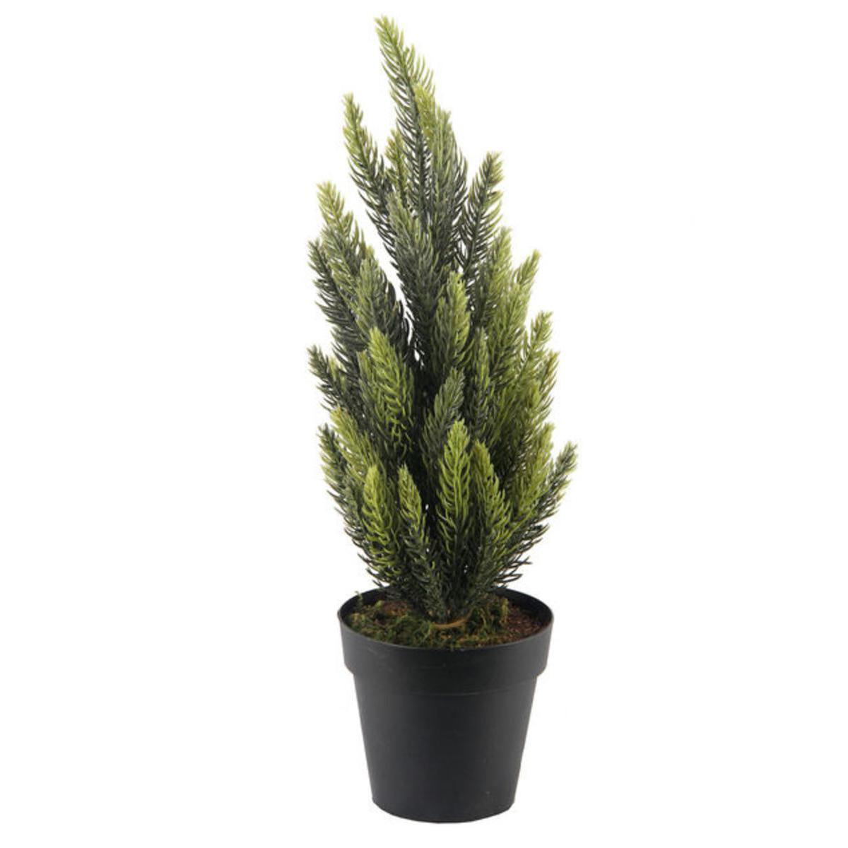 Mini sapin - Plastique, Polyester - Diam 10 c 38 cm - Vert