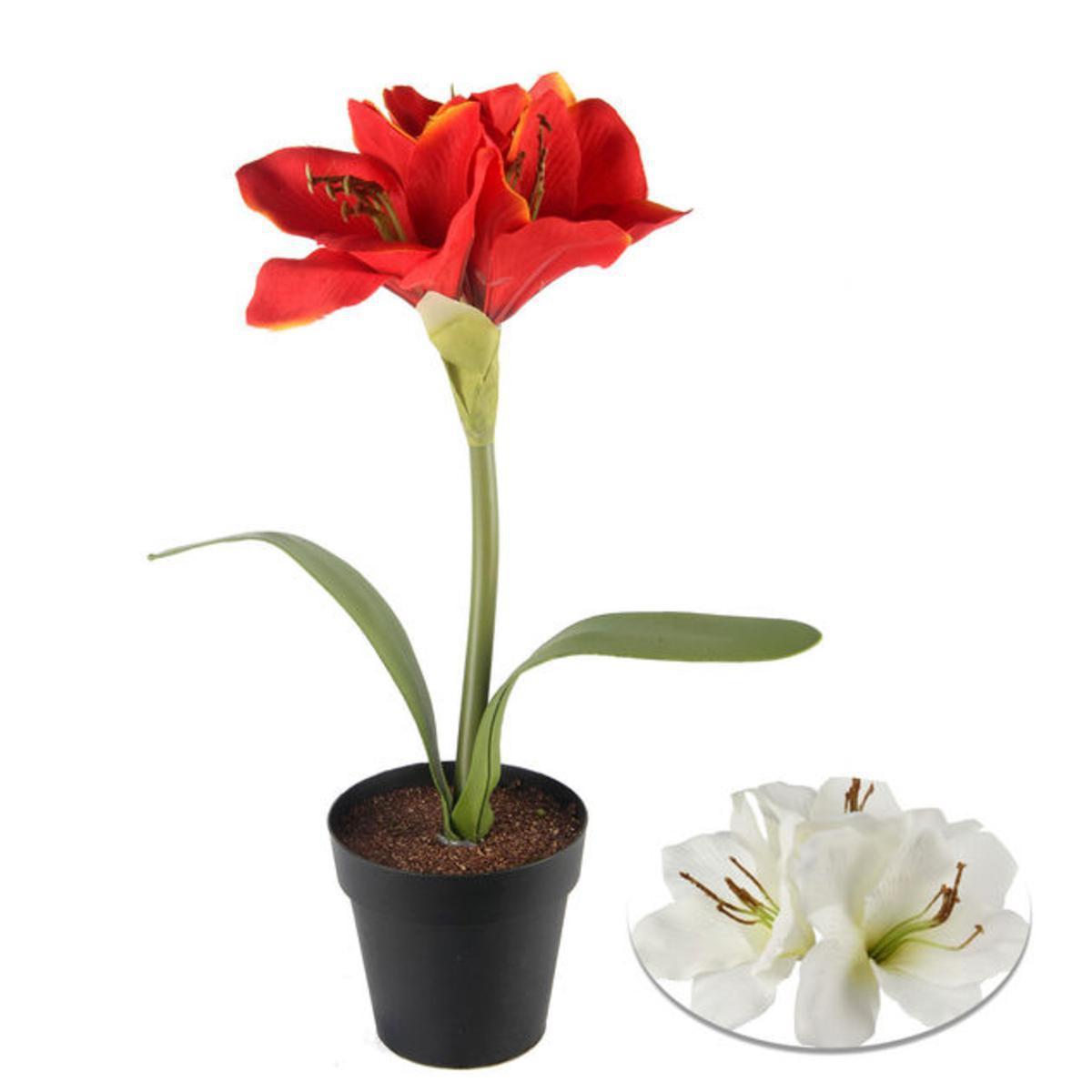 Amaryllis en pot - Plastique, Polyester - Daim 10 x 38 cm - Rouge Blanc