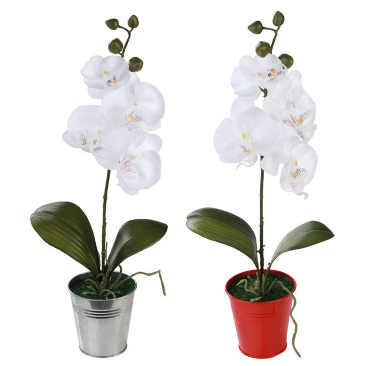 Orchidée en pot bords pailleté - Plastique, Polyester, Métal - Diam 10 x 48 cm - Rouge Blanc