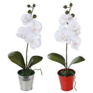 Orchidée en pot bords pailleté - Plastique, Polyester, Métal - Diam 10 x 48 cm - Rouge Blanc