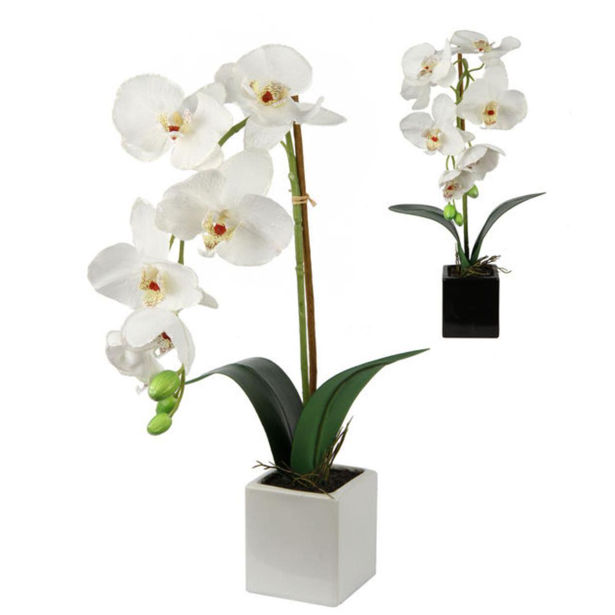 Orchidée en pot bords pailleté - Plastique, Polyester, Céramique - Diamètre 7,5 x 36 cm - Blanc