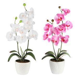 Orchidées en pot - Plastique, Polyester, Céramique - Daim 12 x 53 cm - Blanc Violet