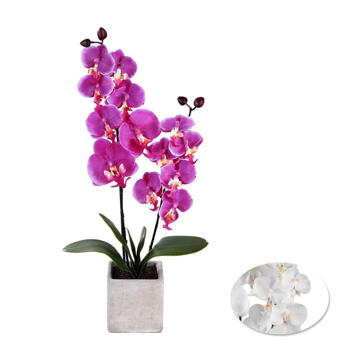 Orchidées en pot - Plastique, Polyester, Béton - 10,5 x 10,5 x 53 cm - Blanc Rose