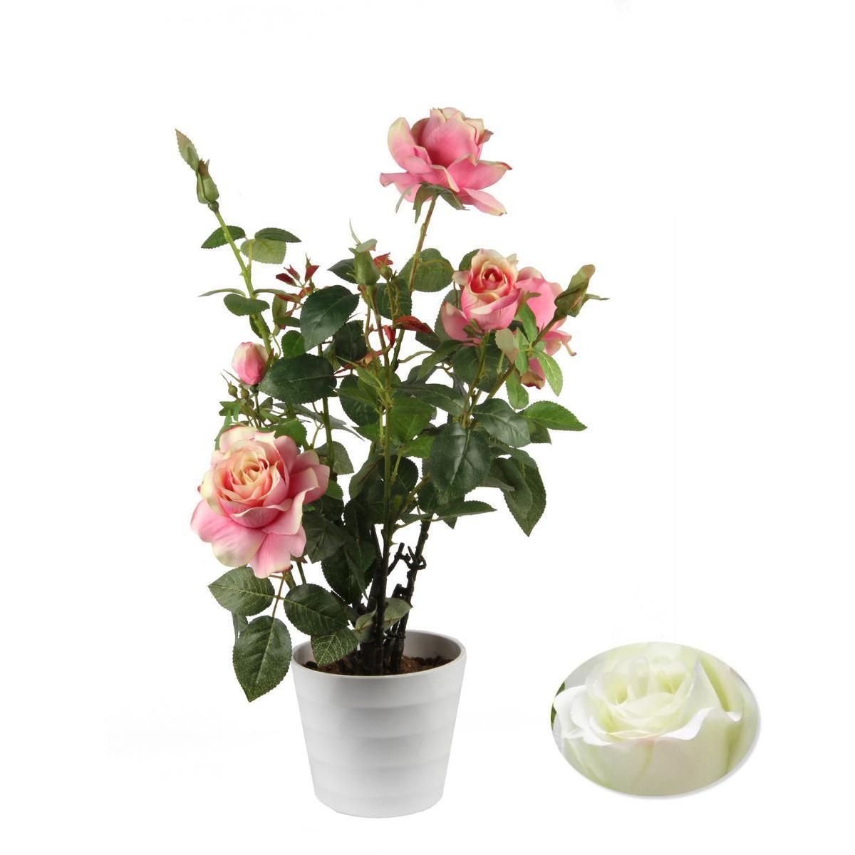 Rosier - Plastique, Polyester - Diam 16,5 x 61 cm - Diam 16,5 x 61 cm - Rose Blanc