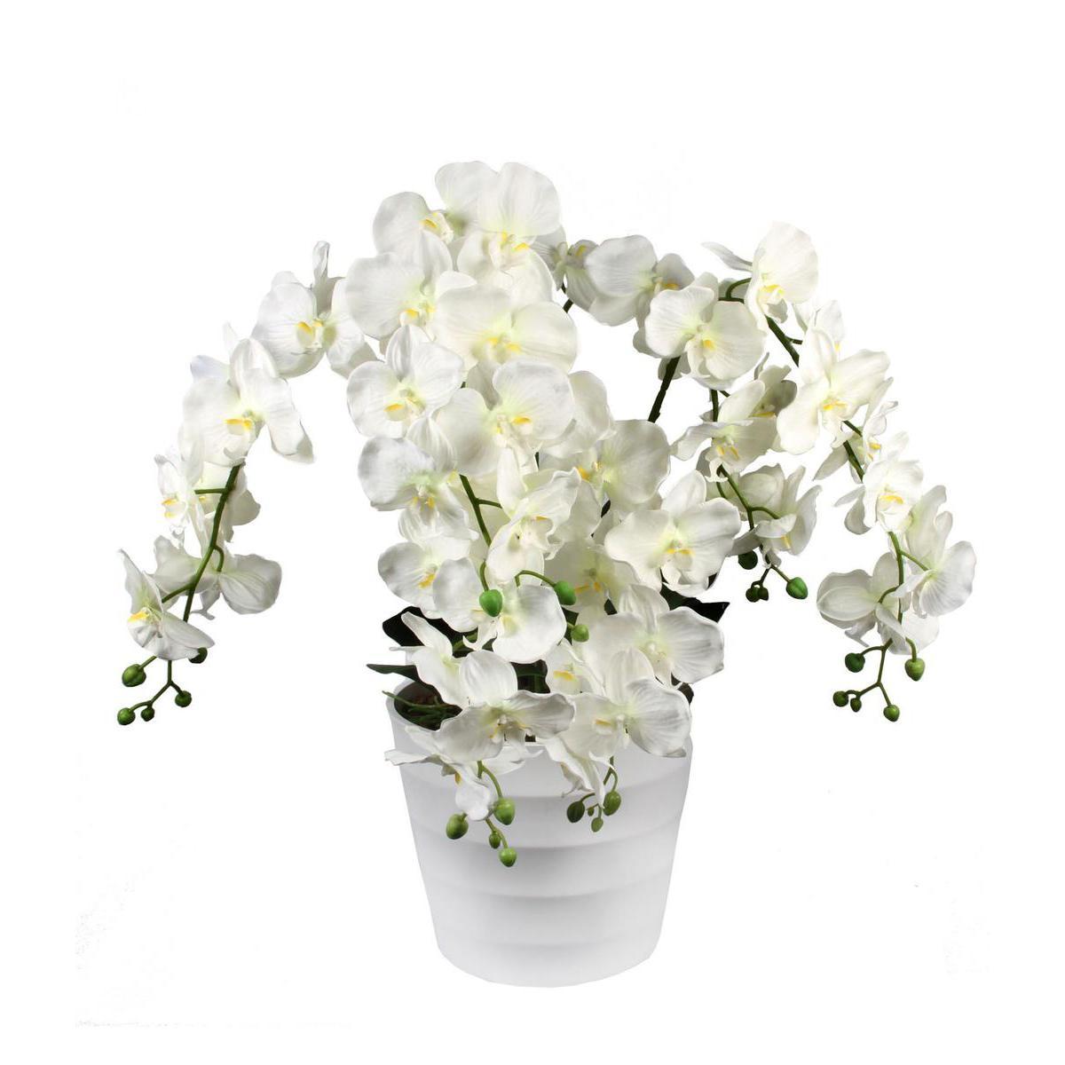 Orchidée en pot - Plastique, Polyester - Diam 30 x 80 cm - Blanc