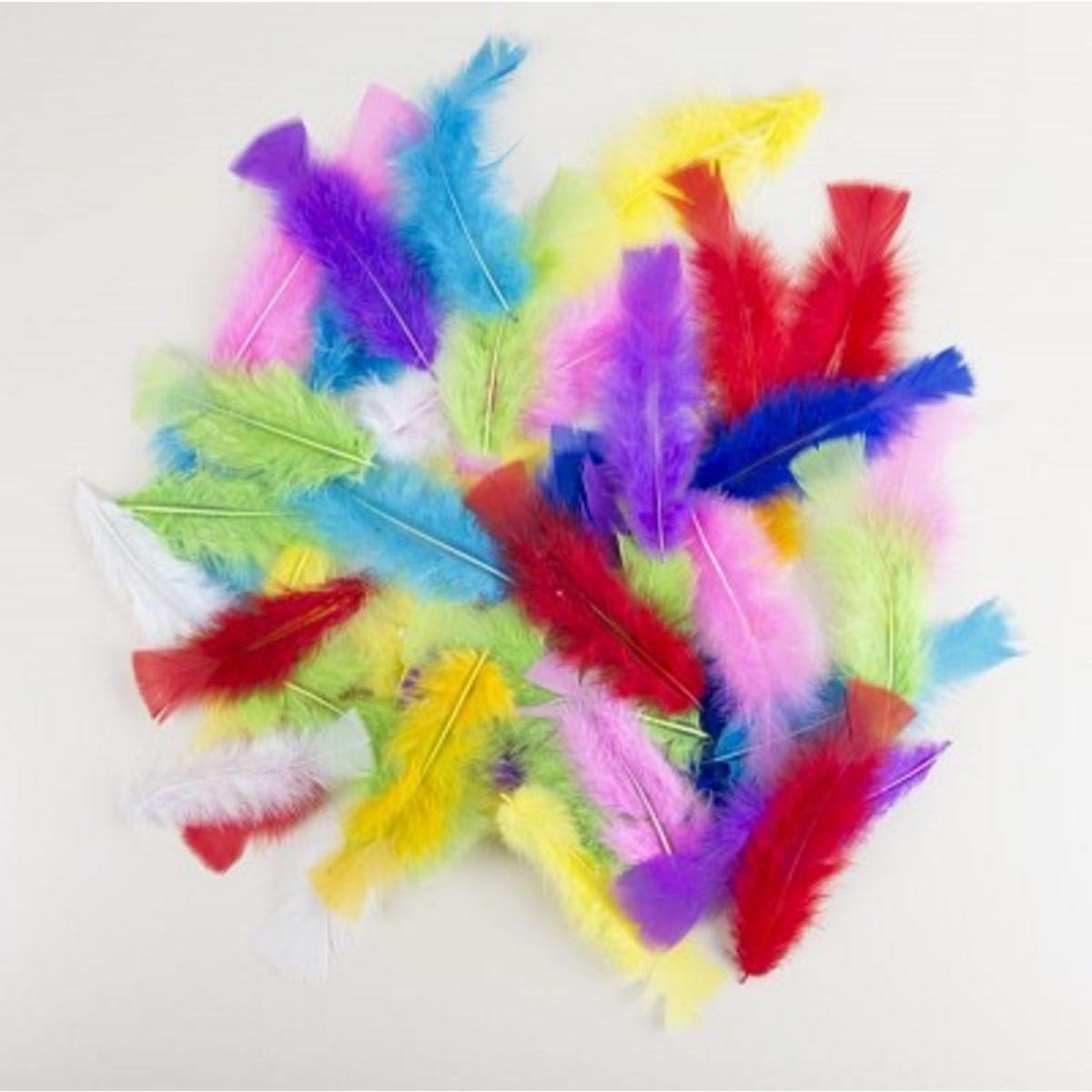 Lot de 50 plumes - 8 x 5 cm - Multicolore