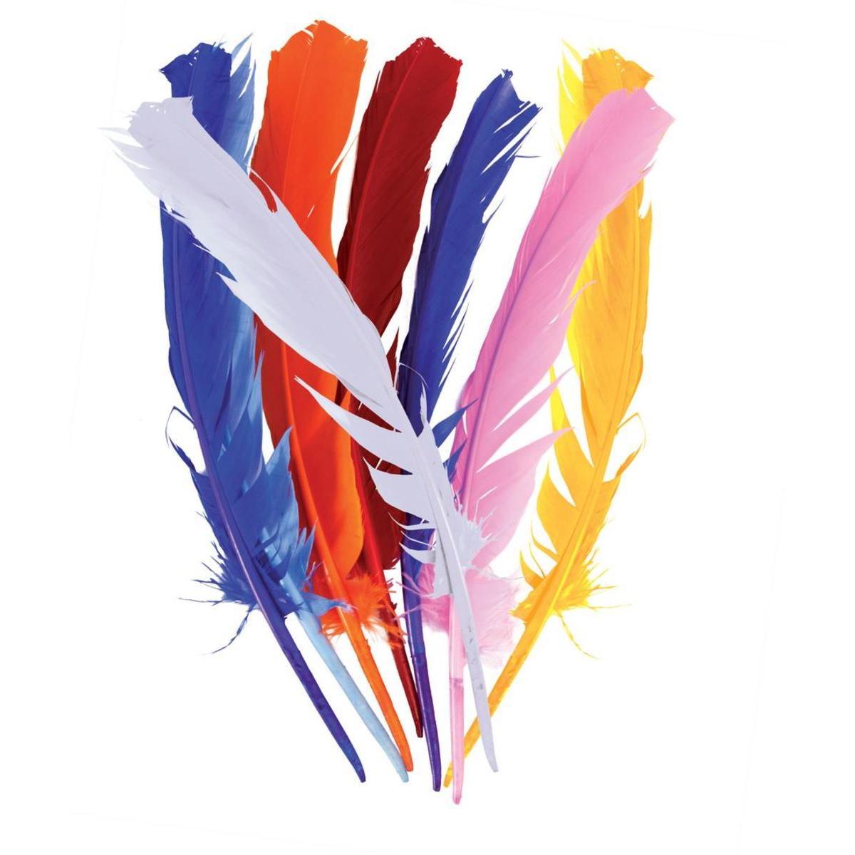 Lot de 12 plumes - 30 x 5 cm - Multicolore