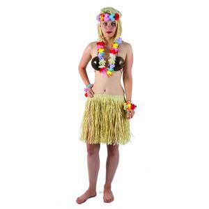 Kit fleurs Hawaïen - Taille unique - Multicolore