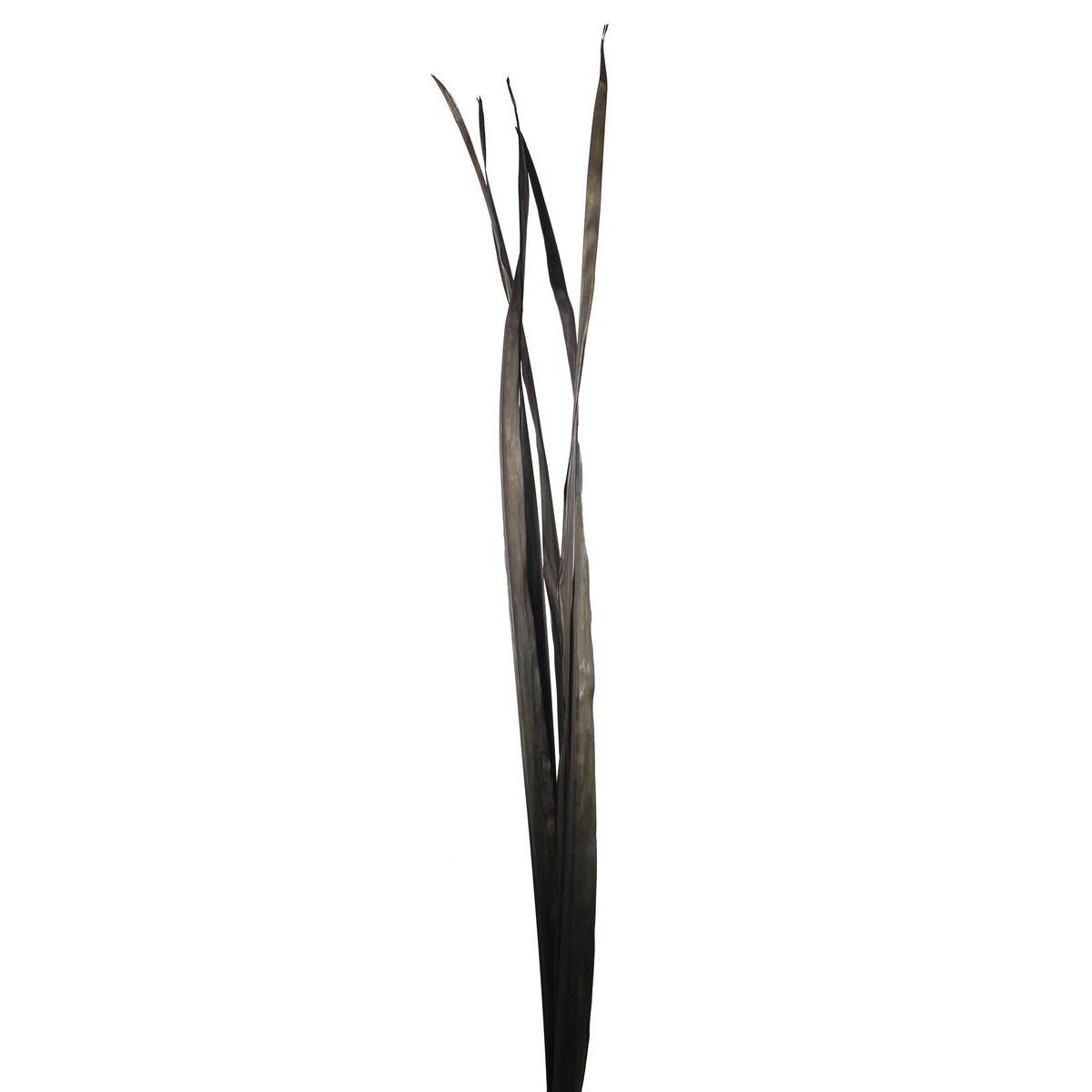 Fagot de 3 Palmes séchés - Bois - H 180 cm - Noir