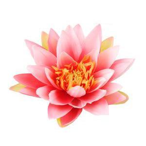 Lotus flottant - Plastique et polyester - Diamètre 15 cm - Crème et rose