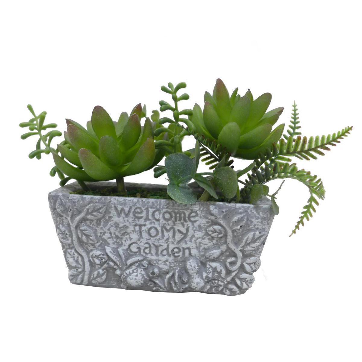 Mini jardin succulente - Ciment, plastique et polyester - 14 x 6 x 16 cm - Vert
