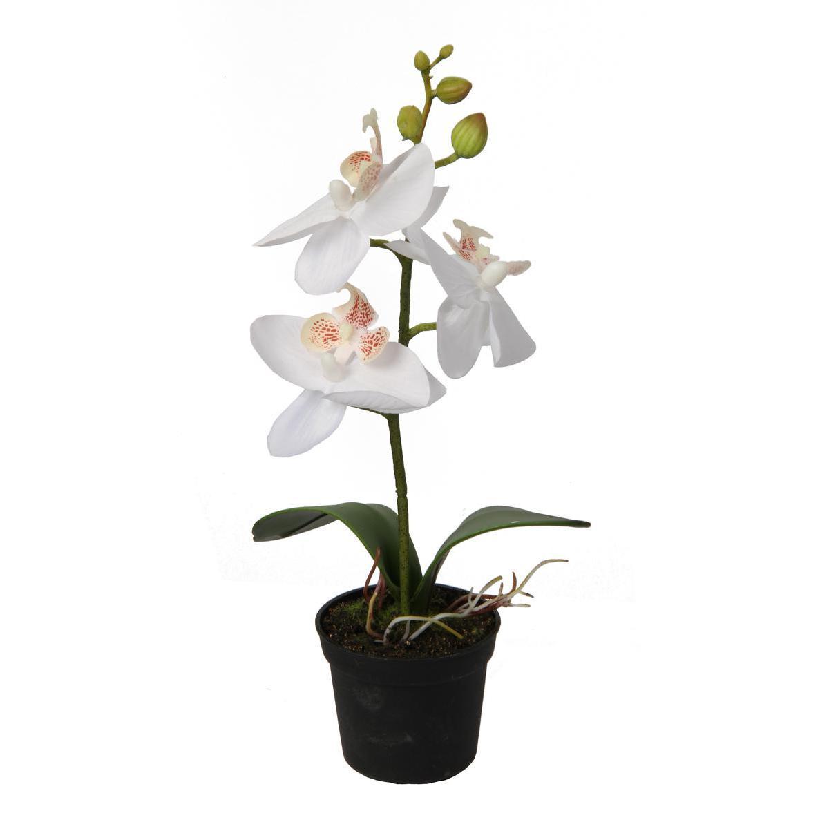 Orchidée en pot - Plastique et polyester - Hauteur 24 cm - Blanc et fuchsia
