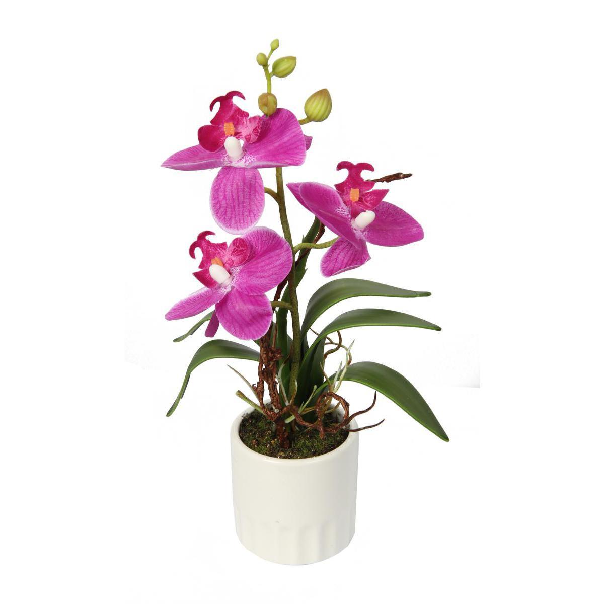 Orchidée en pot - Céramique, plastique et polyester - Hauteur 28 cm - Blanc et fuchsia