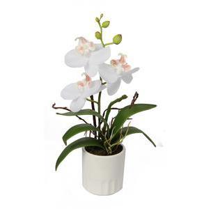 Orchidée en pot - Céramique, plastique et polyester - Hauteur 28 cm - Blanc et fuchsia