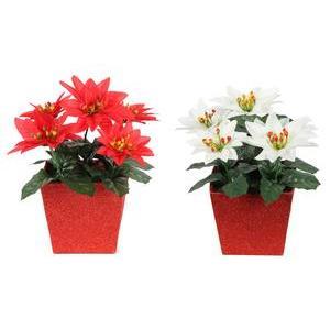 Centre de table Poinsettia - 10 x 10 x H 22 cm