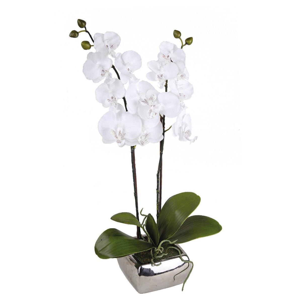 Orchidée 2 branches pailletées - H 60 cm
