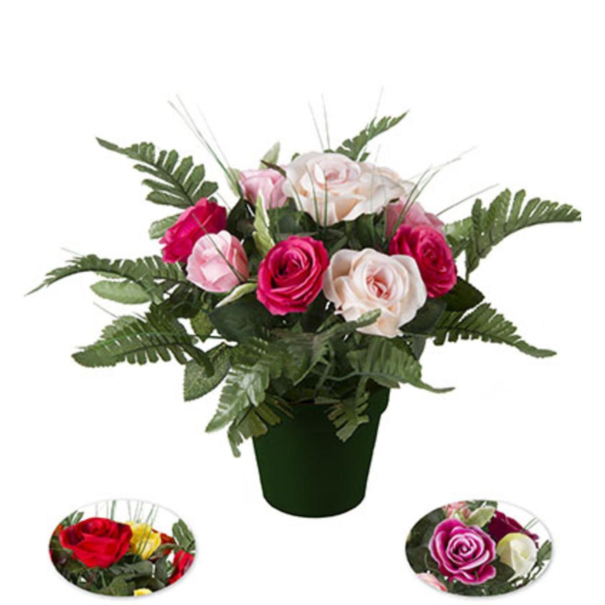 Roses en pot plastique - H 30 cm