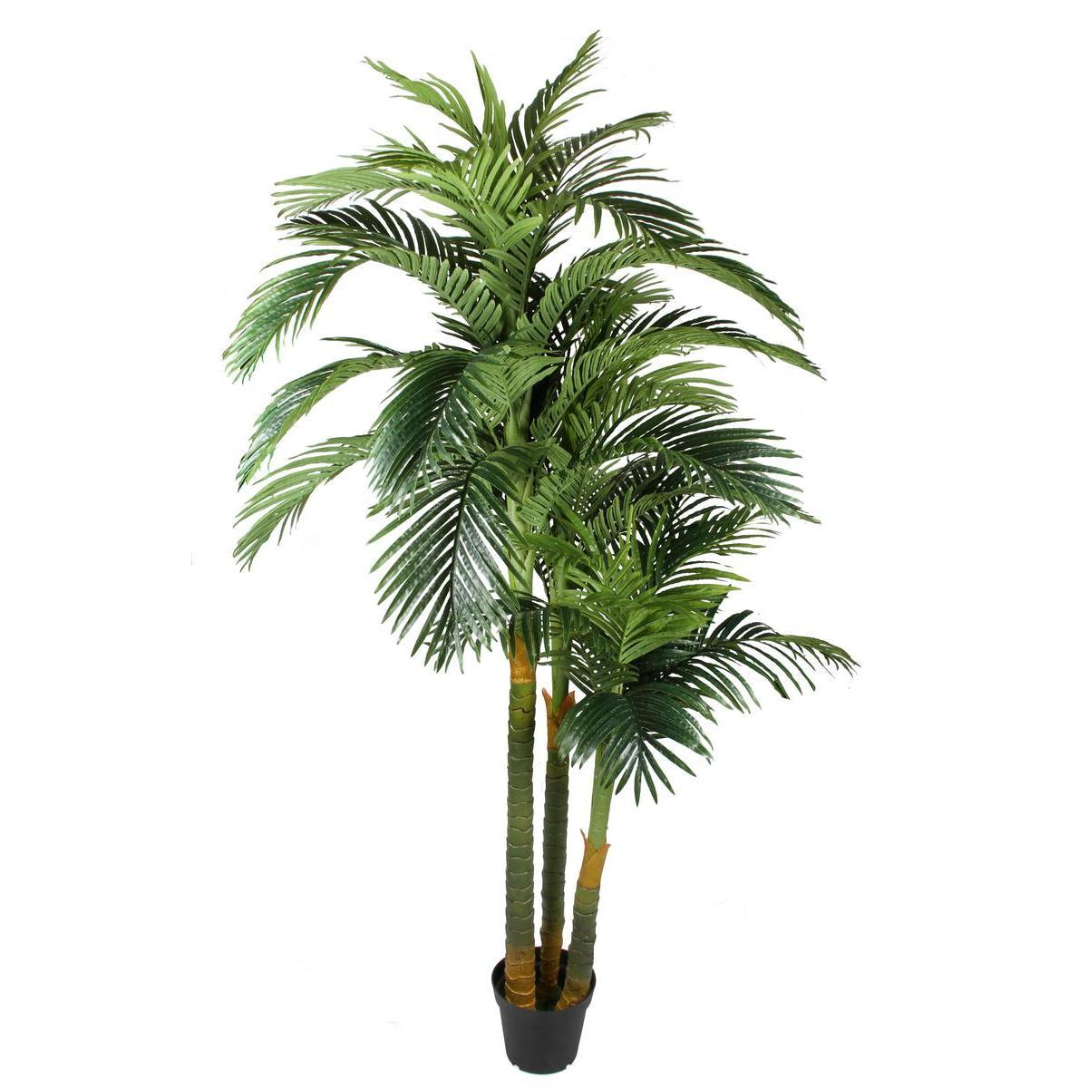 Grand palmier 3 troncs 39 palmes H 220 cm