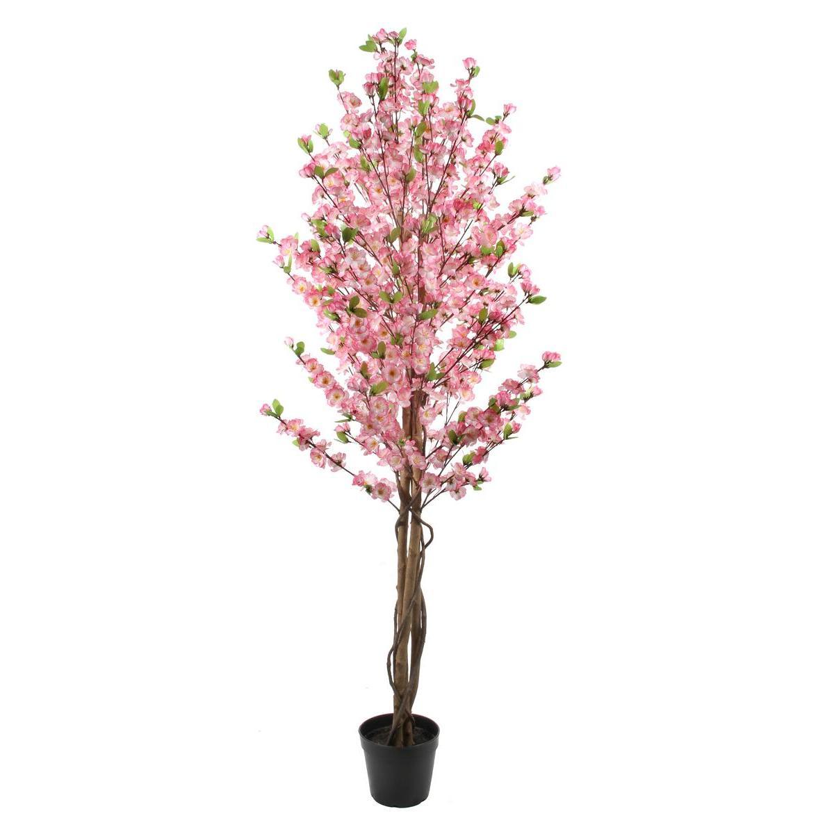 Pommier en fleurs - H 150 cm - Rose