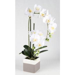 Orchidée 2 branches - pot céramique - H 53 cm