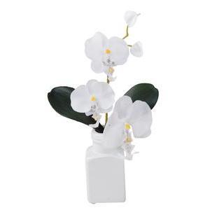 Orchidée en vase forme bouteille - H 33 cm