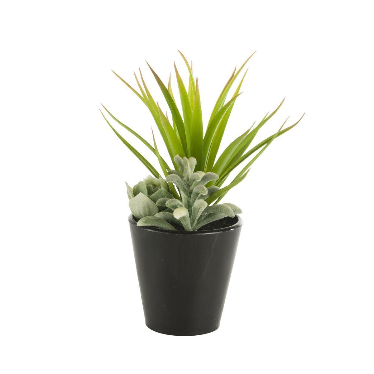 Cactus en pot coloré - Plastique - Ø 7 x H 17 cm - Beige, noir ou blanc