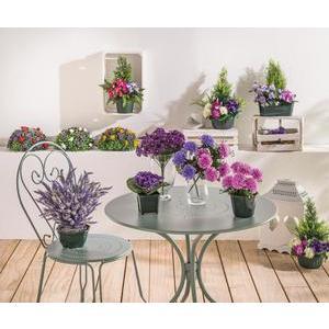 Bouquet de 14 violettes - Polyester - H 27 cm - Différents coloris
