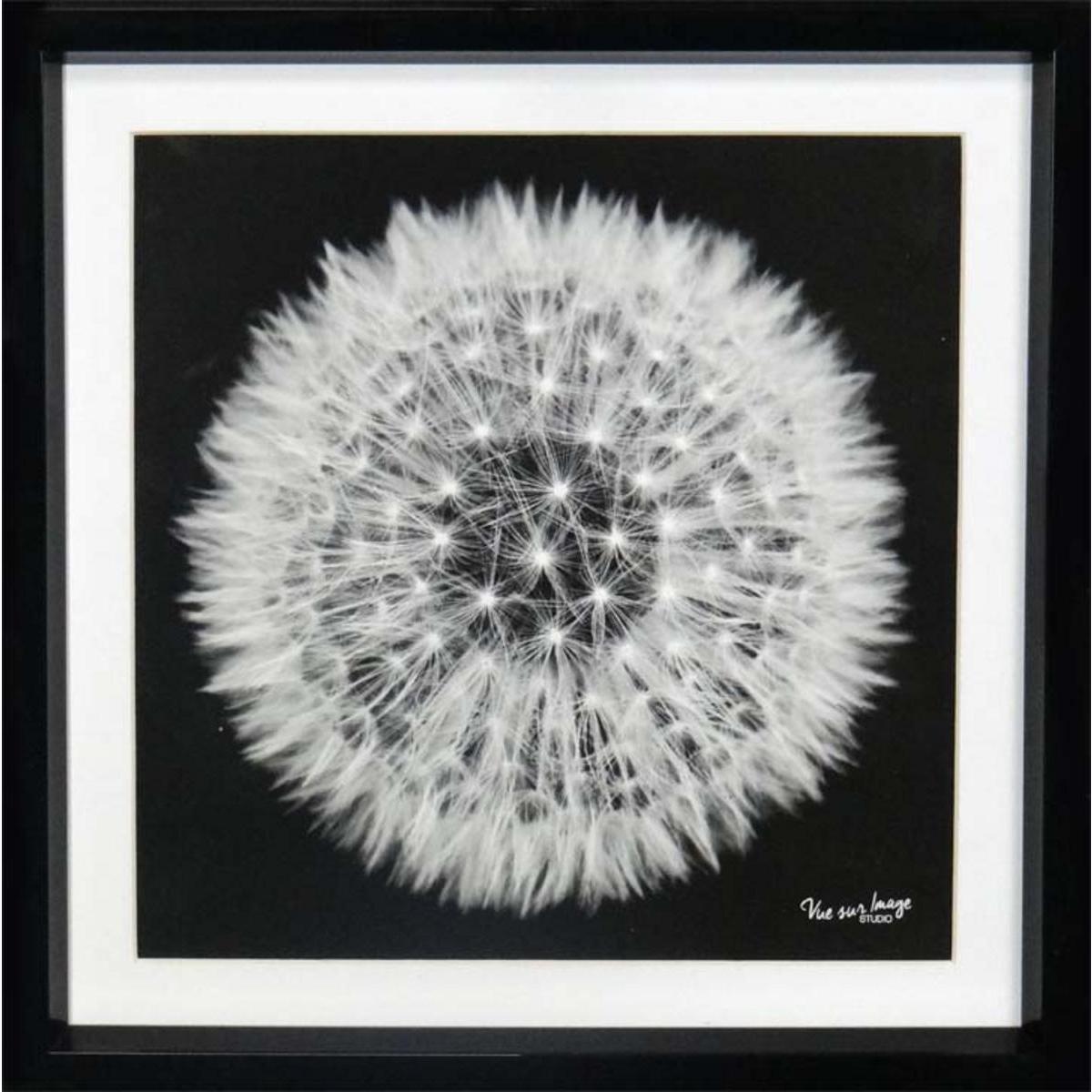 Cadre photo décoratif - Plastique - 25 x 25 cm - Noir et blanc