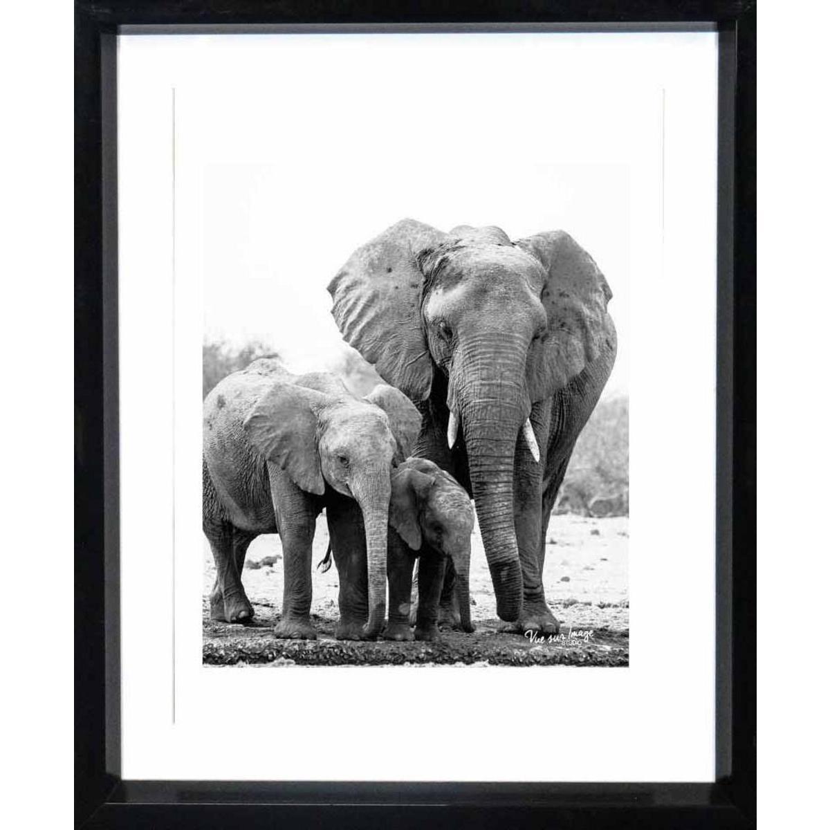 Cadre photo décoratif - Plastique - 20 x 25 cm - Noir et blanc