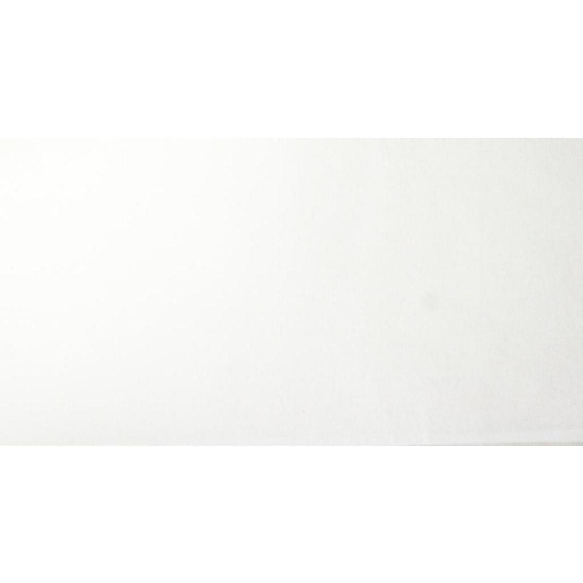 3 feuilles de papier de soie - 50 x 66 cm - Blanc