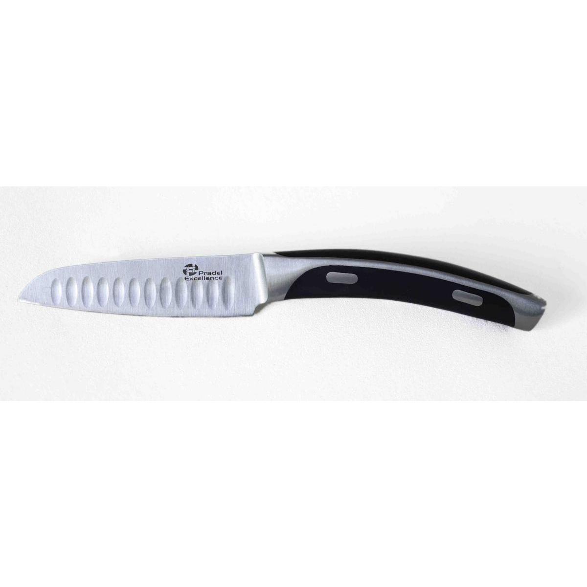 Couteau à fruits - Inox et plastique - 20 cm - Noir