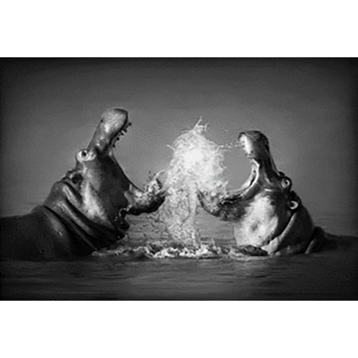 Image contrecollée Danse des Hippopotames - 60 x 90 cm