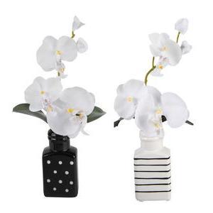 Orchidées blanches en vase - H 33 cm - Blanc