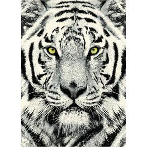 Tapis Wildlife tigre - 120 x 170 cm