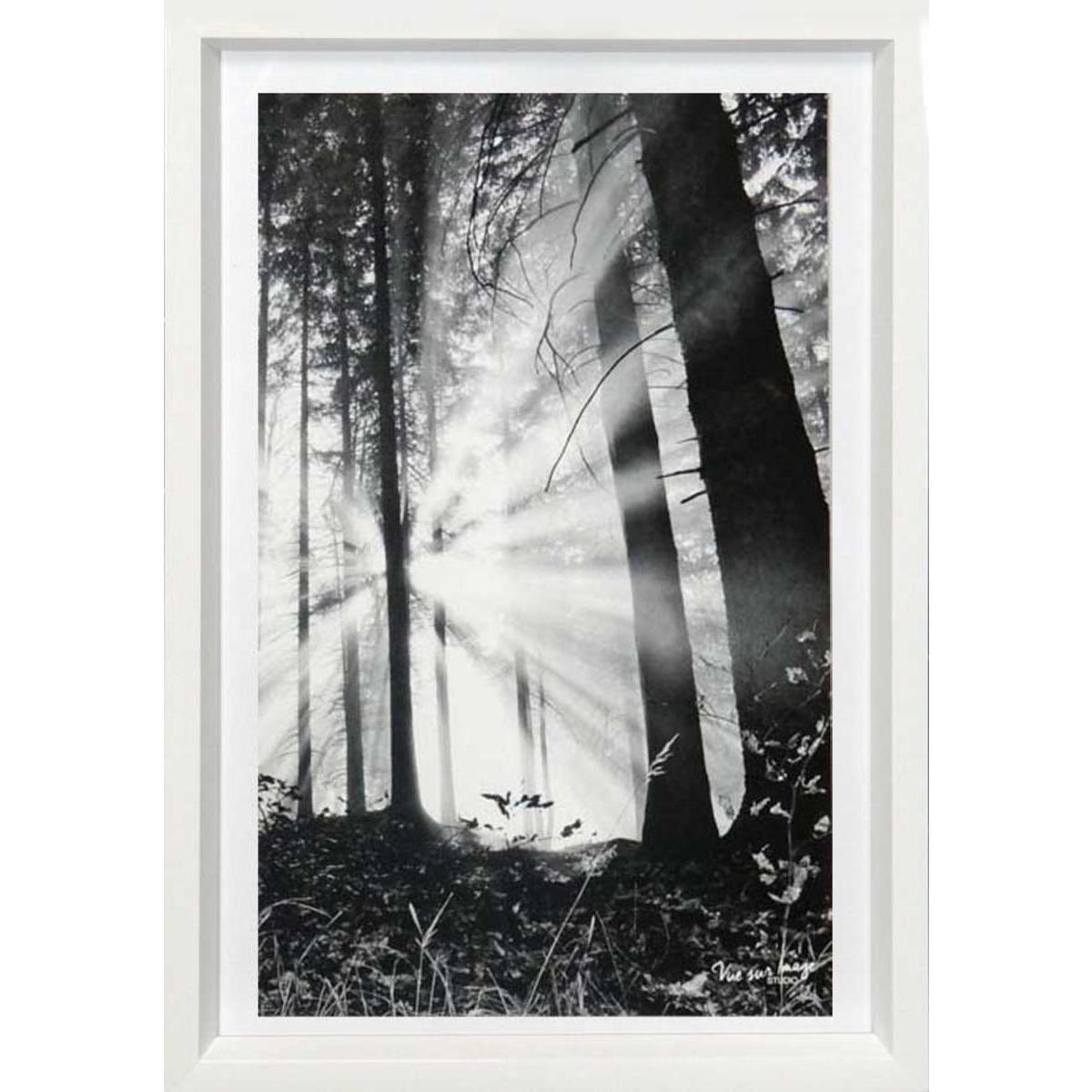 Tableau Sous-bois - L 20 x P 1.5 x l 30 cm - Noir, blanc - VUE SUR IMAGE