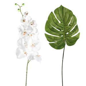 Orchidée avec feuille de palmier