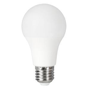 Ampoule LED 12W 1050 Lumen E27