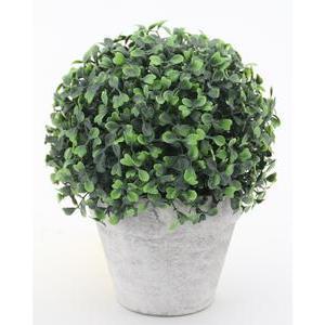 Boule de buis en pot - H 23 cm