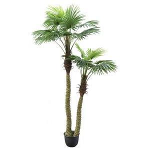 Grand palmier - H 250 cm