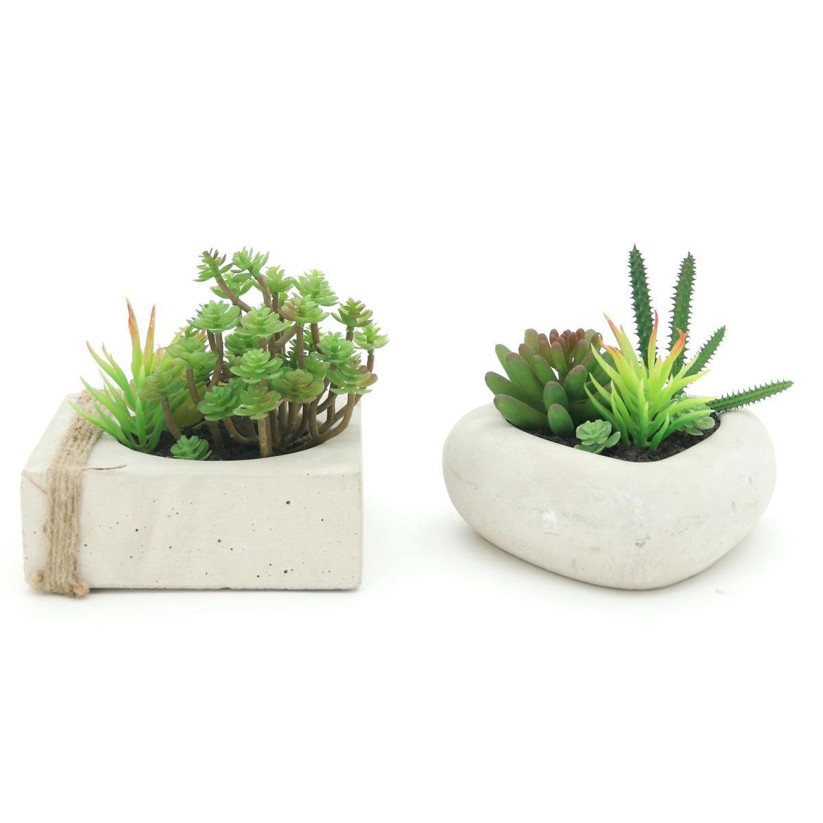 Jardin de succulentes en pot ciment - Différents modèles