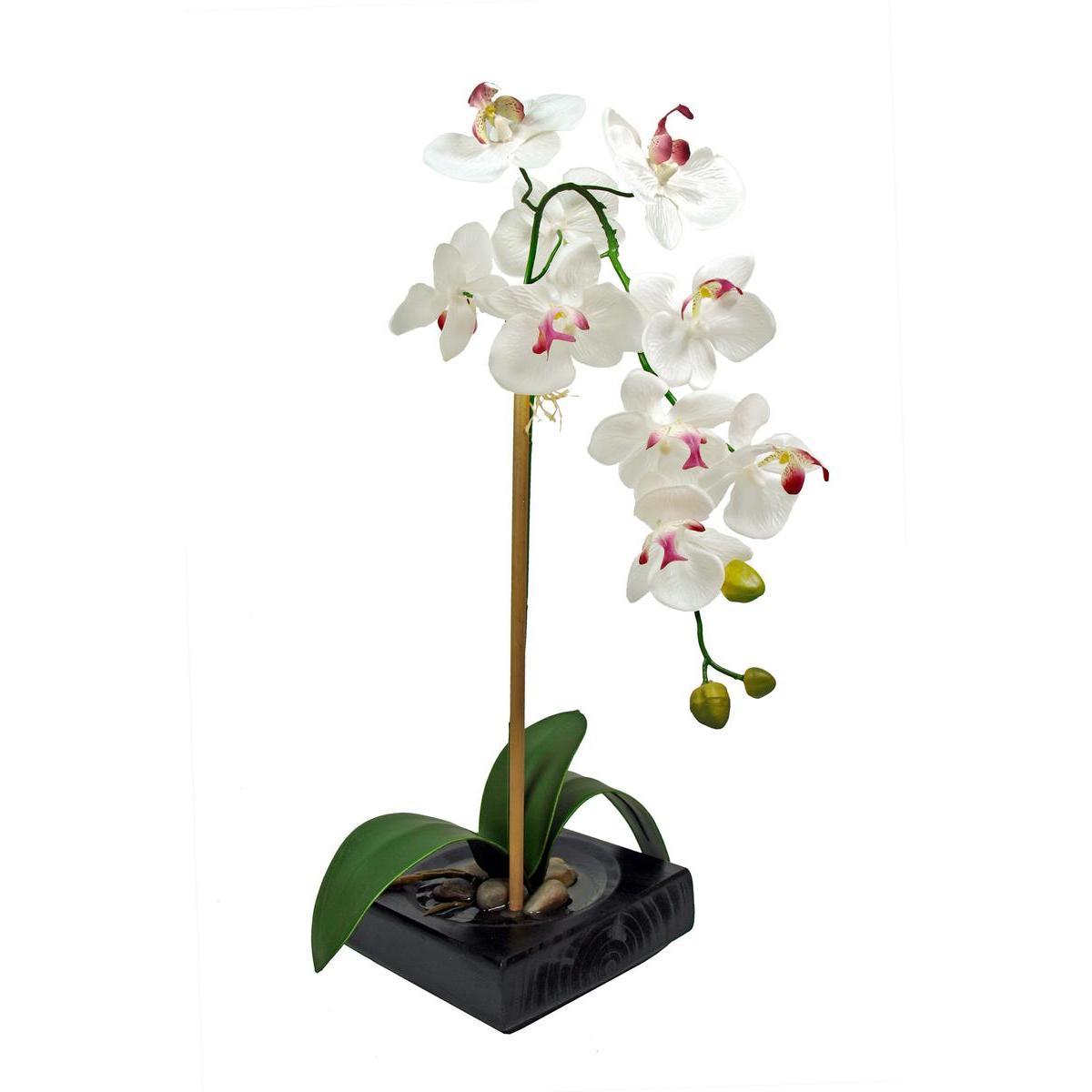 Orchidée en pot carré + eau artificielle - Différents coloris