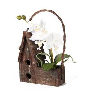 Maison en bois avec succulentes ou orchidées