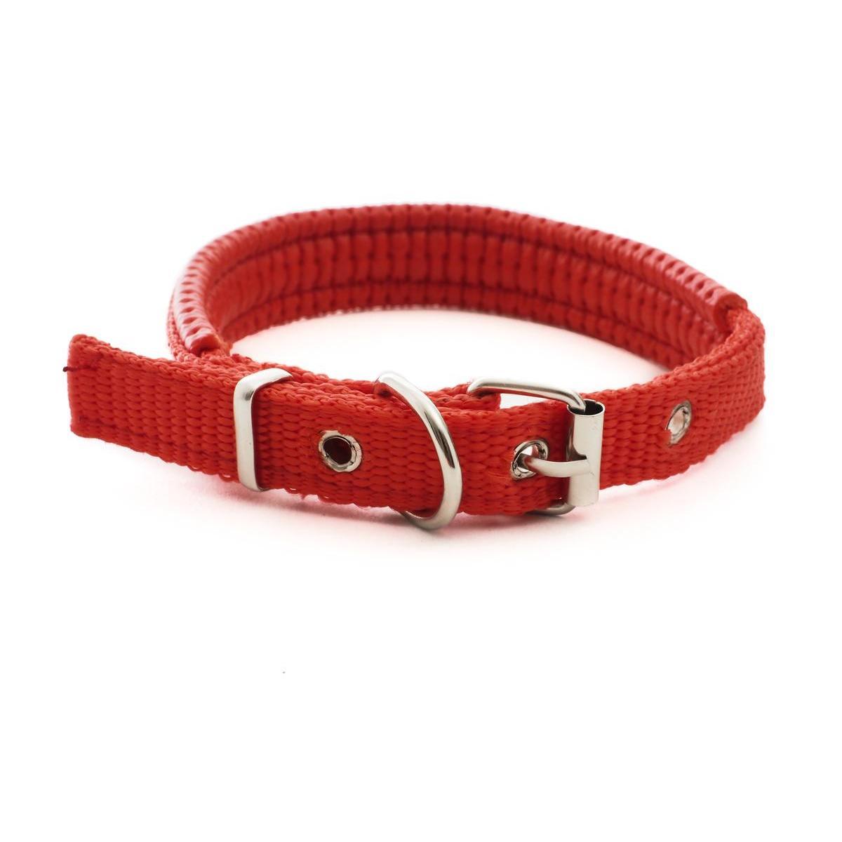 Collier pour chien rembourré - L 30 cm