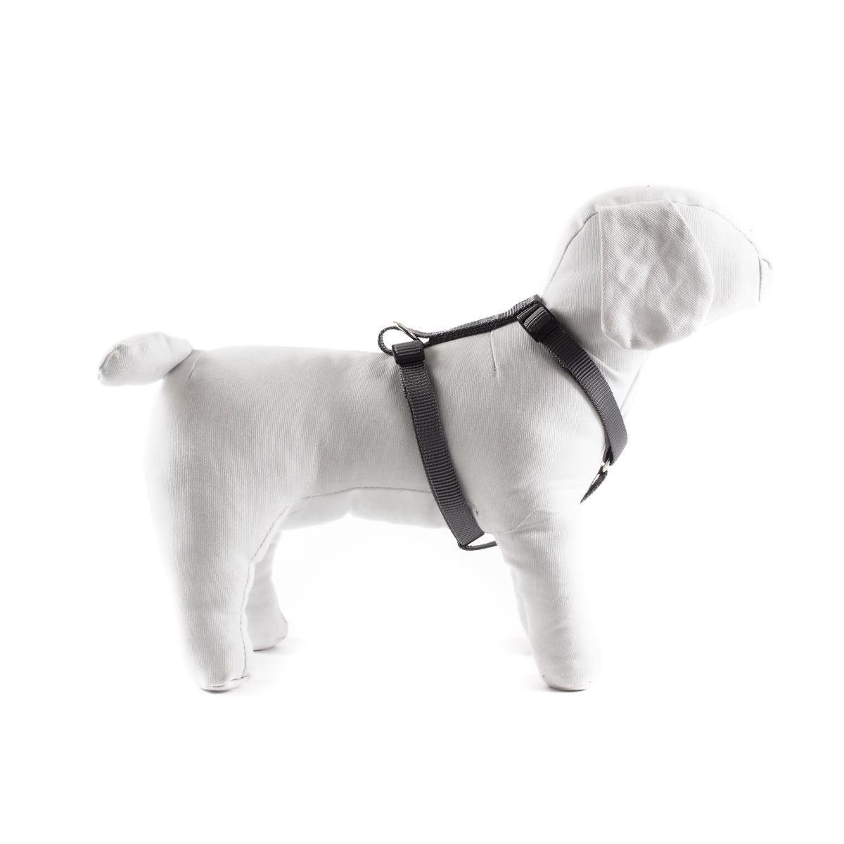 Harnais pour chien réglable - L 35 à 50 cm