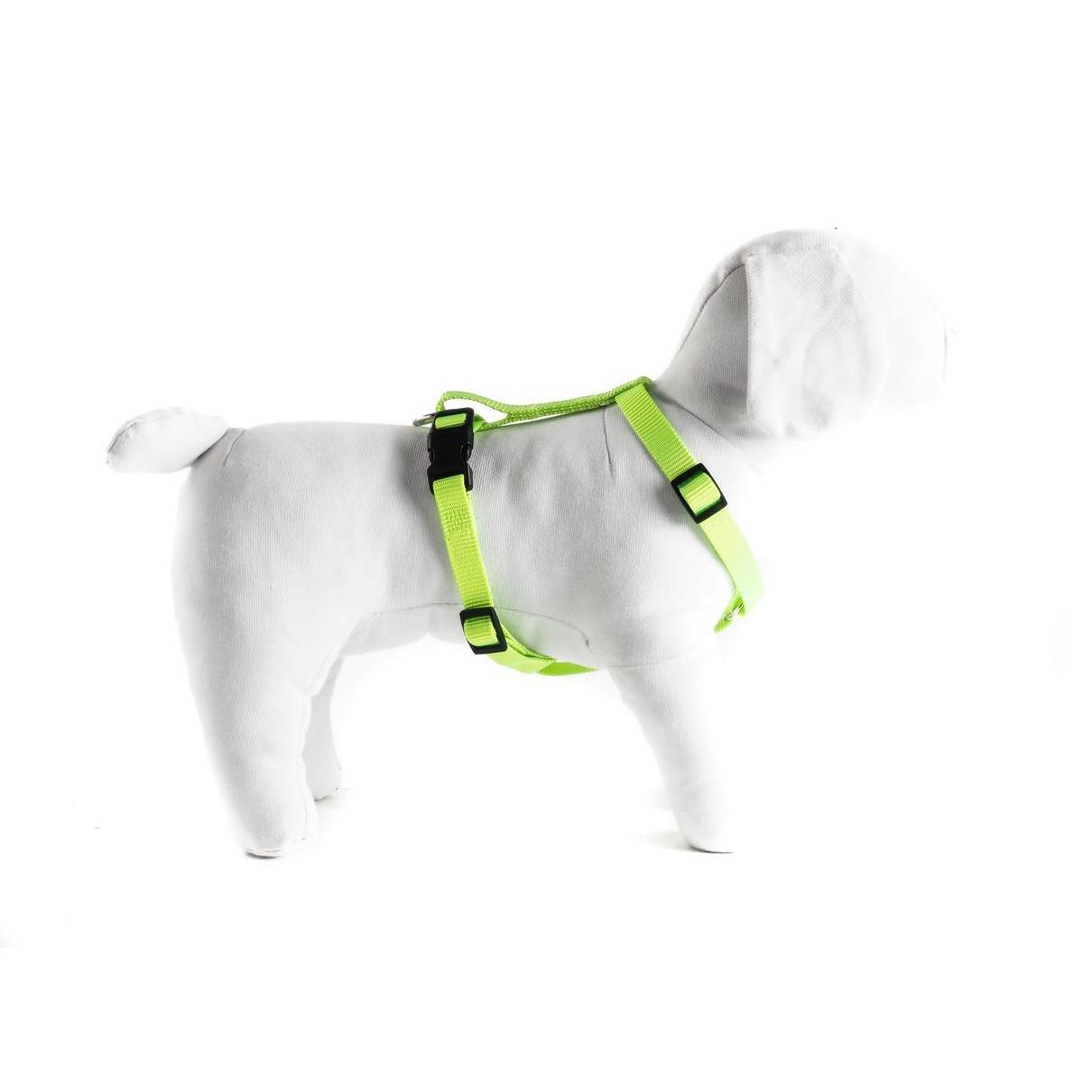 Harnais pour chien réglable - L 35 à 50 cm