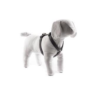 Harnais pour chien réglable - L 40 à 60 cm