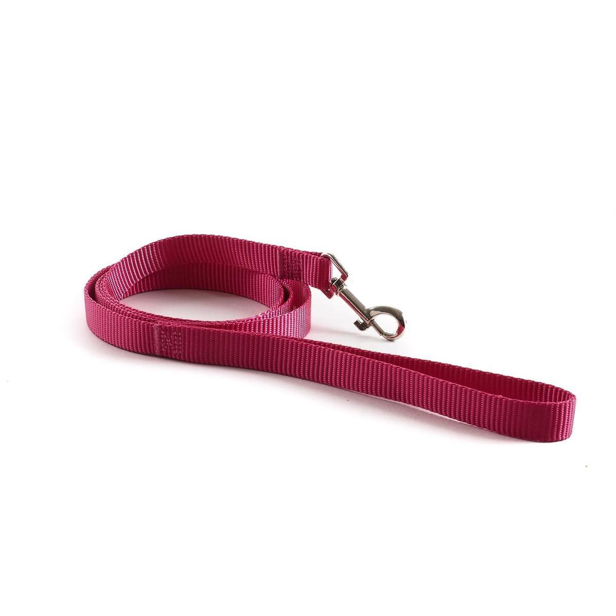 Laisse pour chien en polyester - L 120 cm