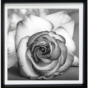 Tableau Rose - L 25 x P 1.5 x l 25 cm - Noir, blanc - VUE SUR IMAGE