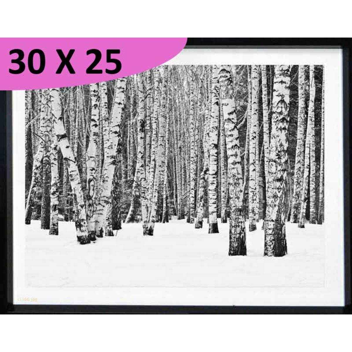 Tableau Sous-bois enneigé - L 25 x P 1.5 x l 30 cm - Noir, blanc - VUE SUR IMAGE